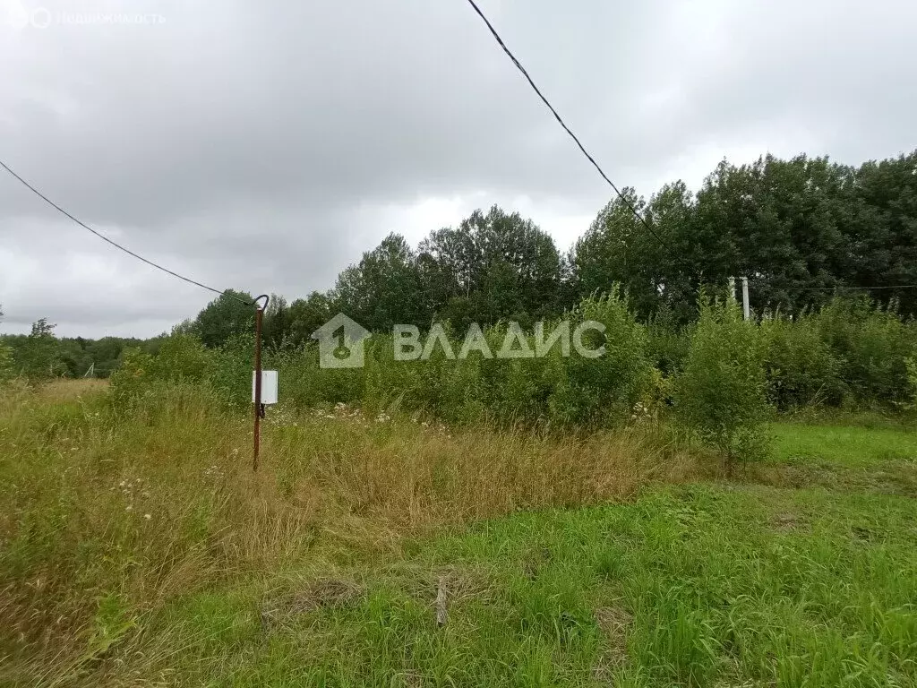 Участок в Вологодский муниципальный округ, посёлок Васильевское (25 м) - Фото 0