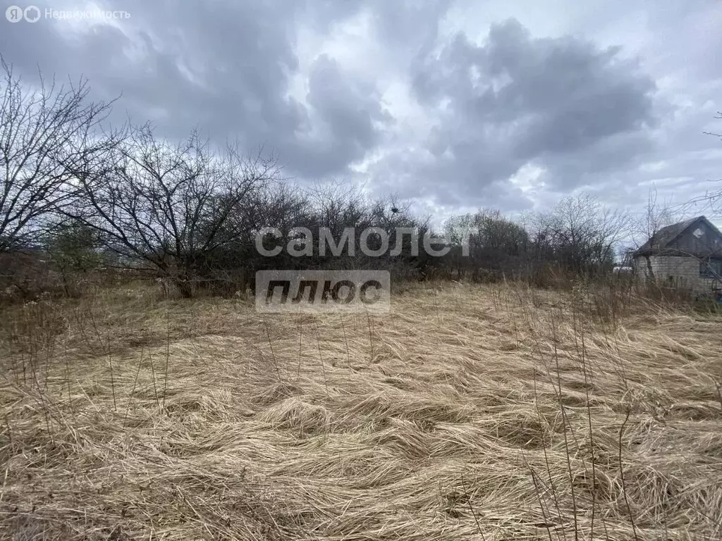 Участок в Курский район, Моковский сельсовет (9.78 м) - Фото 1