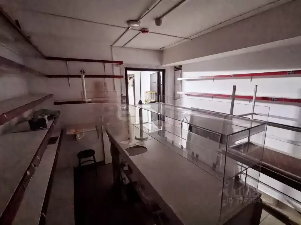 Студия Краснодарский край, Анапа ул. Ленина, 243 (12.0 м) - Фото 2