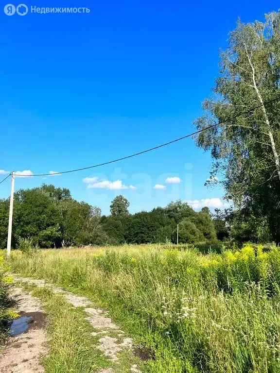 Участок в Тульская область, городской округ Тула, село Фалдино (21.67 ... - Фото 0