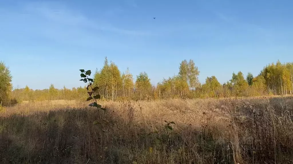 Участок в Московская область, Кашира городской округ, д. Никулино  ... - Фото 0