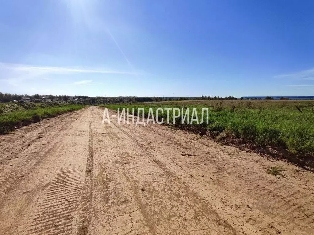 Участок в Московская область, Чехов муниципальный округ, пос. Любучаны ... - Фото 1