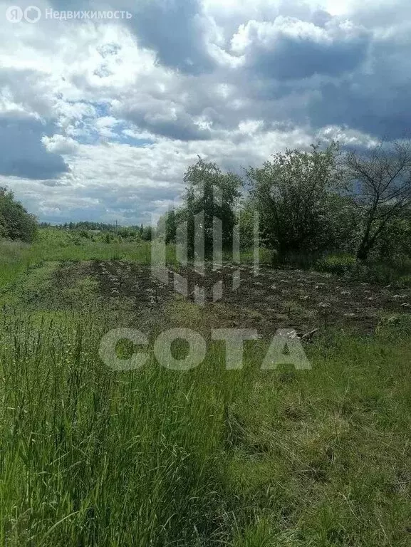 Участок в село Новая Усмань, Октябрьская улица, 57 (17.14 м) - Фото 2
