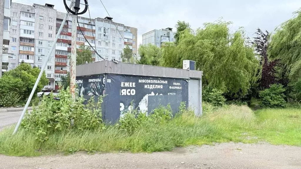 Торговая площадь в Калининградская область, Калининград ул. Генерала ... - Фото 1