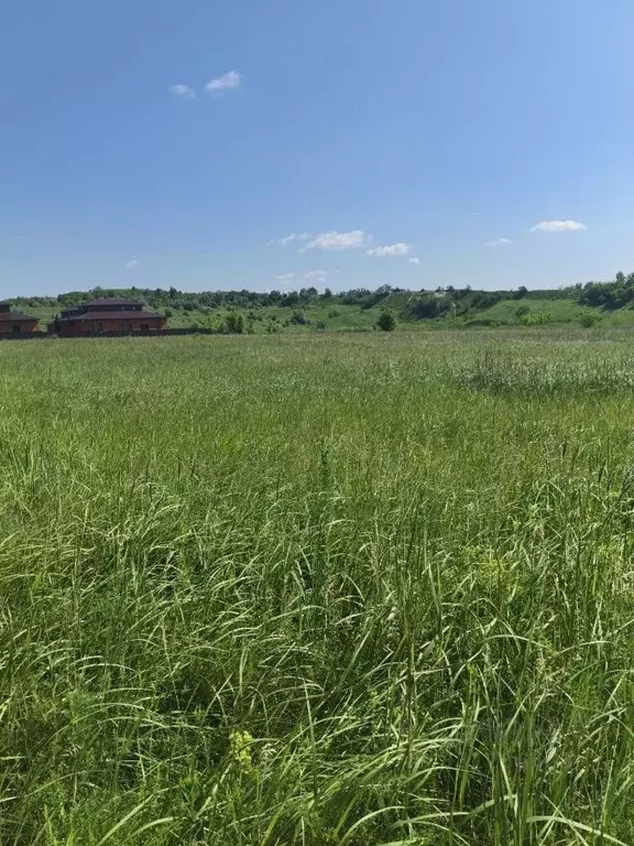 Участок в Белгородская область, Белгород пер. 1-й Декабристов (15.0 ... - Фото 2