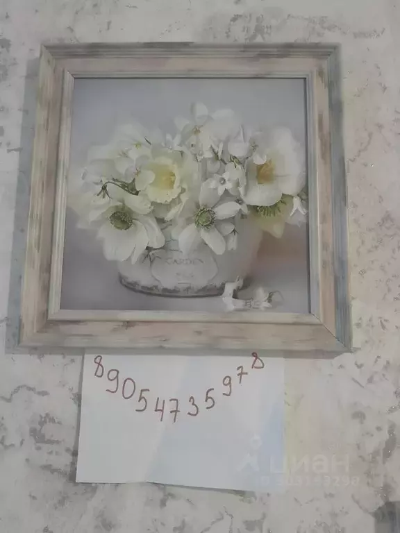 Студия Краснодарский край, Новороссийск ул. Видова, 210Г (27.0 м) - Фото 1