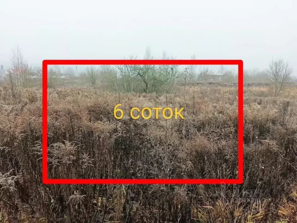 Участок в Брянская область, Брянский район, Добрунское с/пос, БЭМЗ СДТ ... - Фото 1