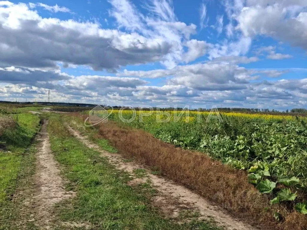 Участок в Тюменская область, Тюменский муниципальный округ, с. Ембаево ... - Фото 1