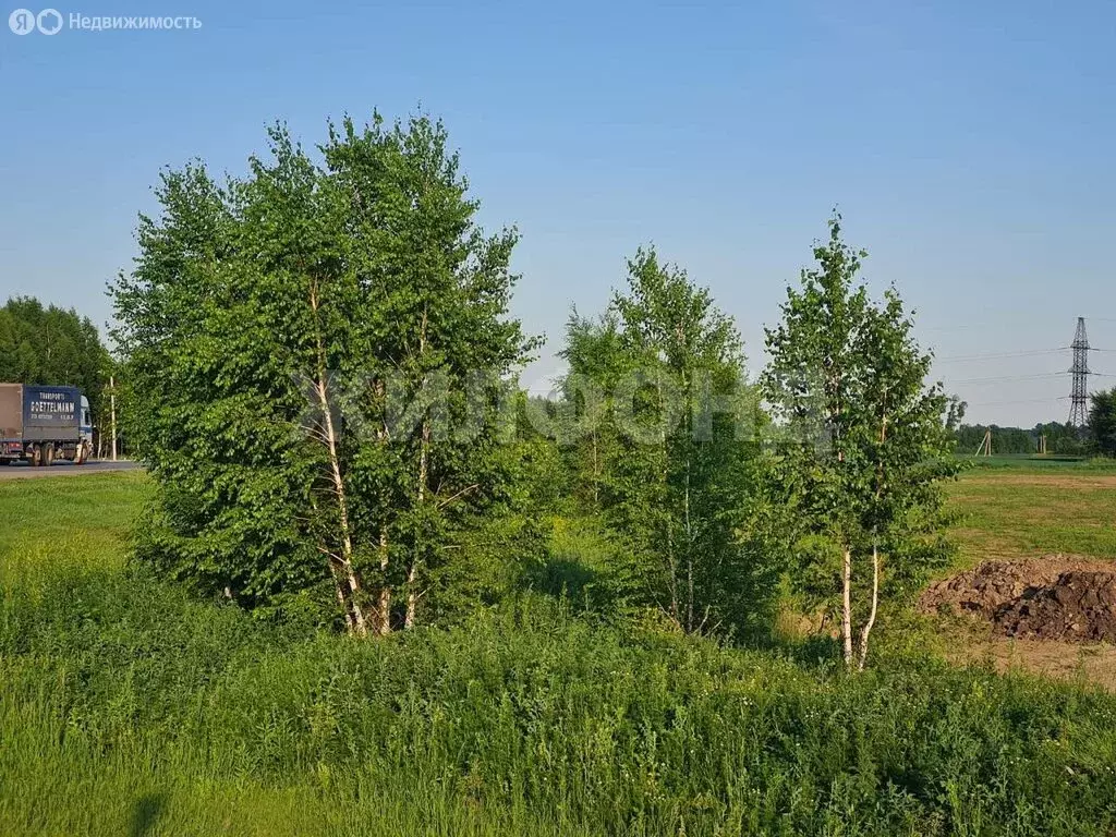 Участок в посёлок Октябрьский, Российская улица (16 м) - Фото 1