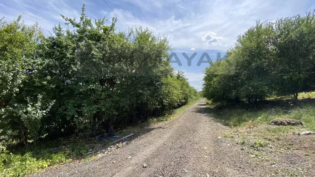 Участок в Адыгея, Майкопский район, Тимирязевское с/пос, пос. ... - Фото 2