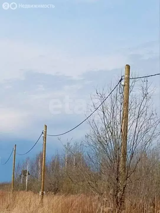 Участок в Тюмень, садоводческое некоммерческое товарищество Большое ... - Фото 1