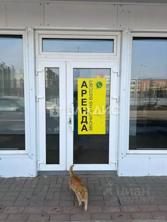 Помещение свободного назначения в Ленинградская область, Всеволожский ... - Фото 0