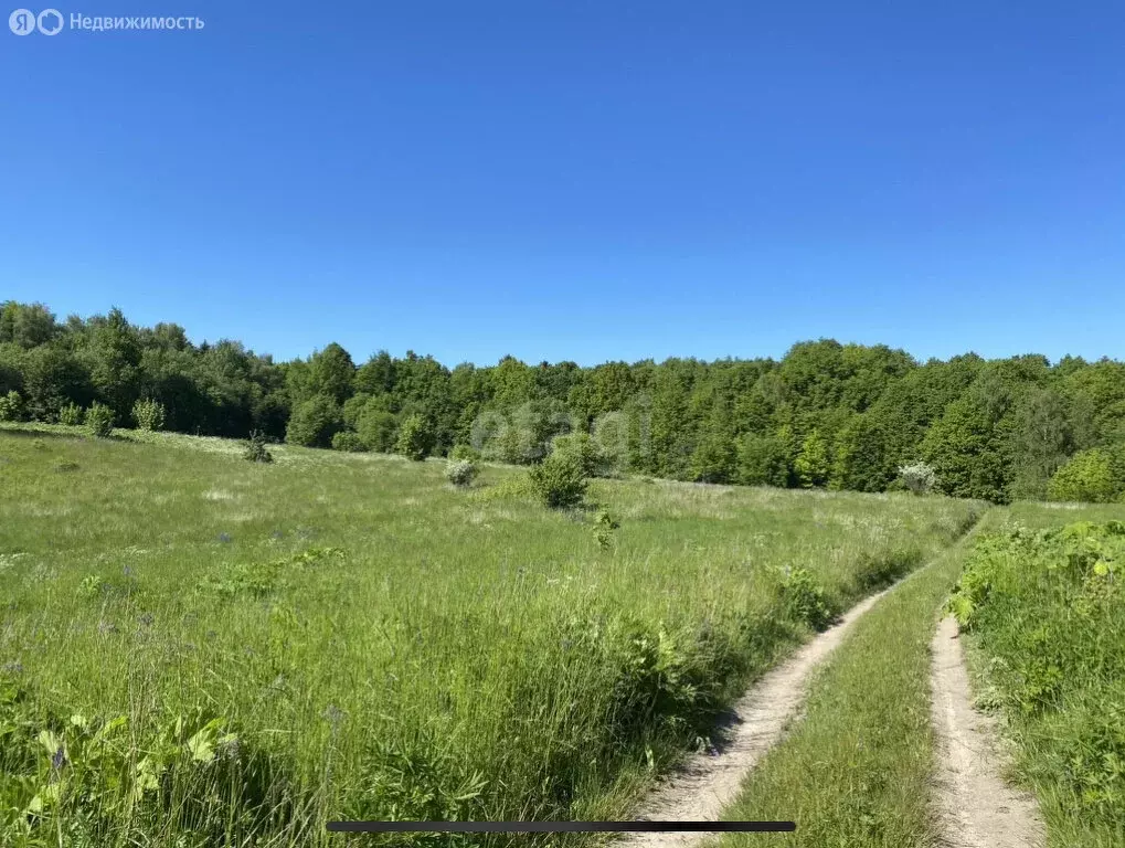 Участок в Янтарный городской округ, посёлок Покровское (6 м) - Фото 1