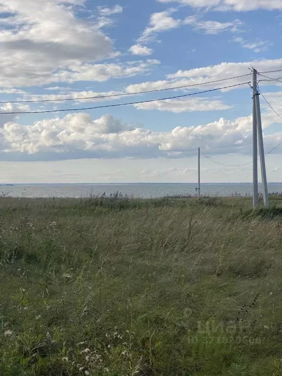 Участок в Новосибирская область, Искитимский район, Быстровский ... - Фото 1