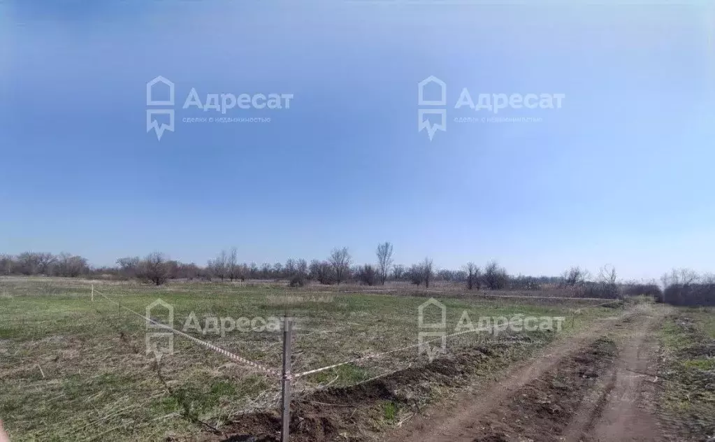 Участок в Волгоградская область, Краснослободск Среднеахтубинский ... - Фото 1