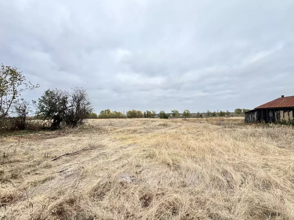 Участок в Липецкая область, Усманский район, с. Студенки Комсомольская ... - Фото 1