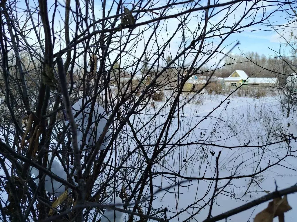 Участок в Свердловская область, Каменск-Уральский № 55 СТ, 15 (5.04 ... - Фото 1