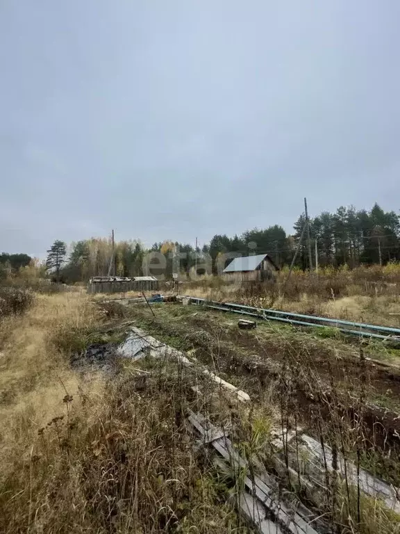 Участок в Архангельская область, Котласский муниципальный округ, пос. ... - Фото 1