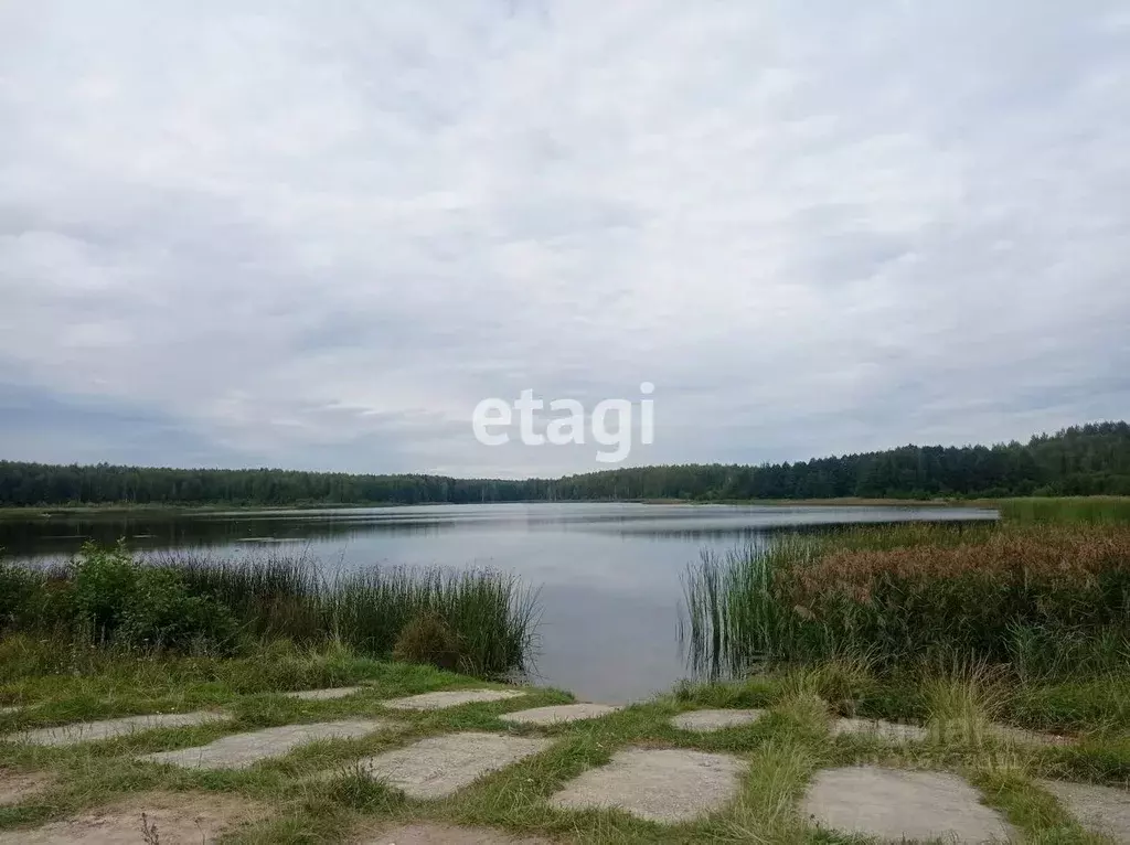 Участок в Владимирская область, Петушинское муниципальное образование, ... - Фото 1
