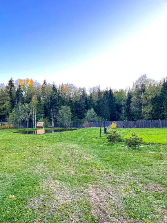 Участок в Московская область, Мытищи городской округ, д. Малое ... - Фото 2