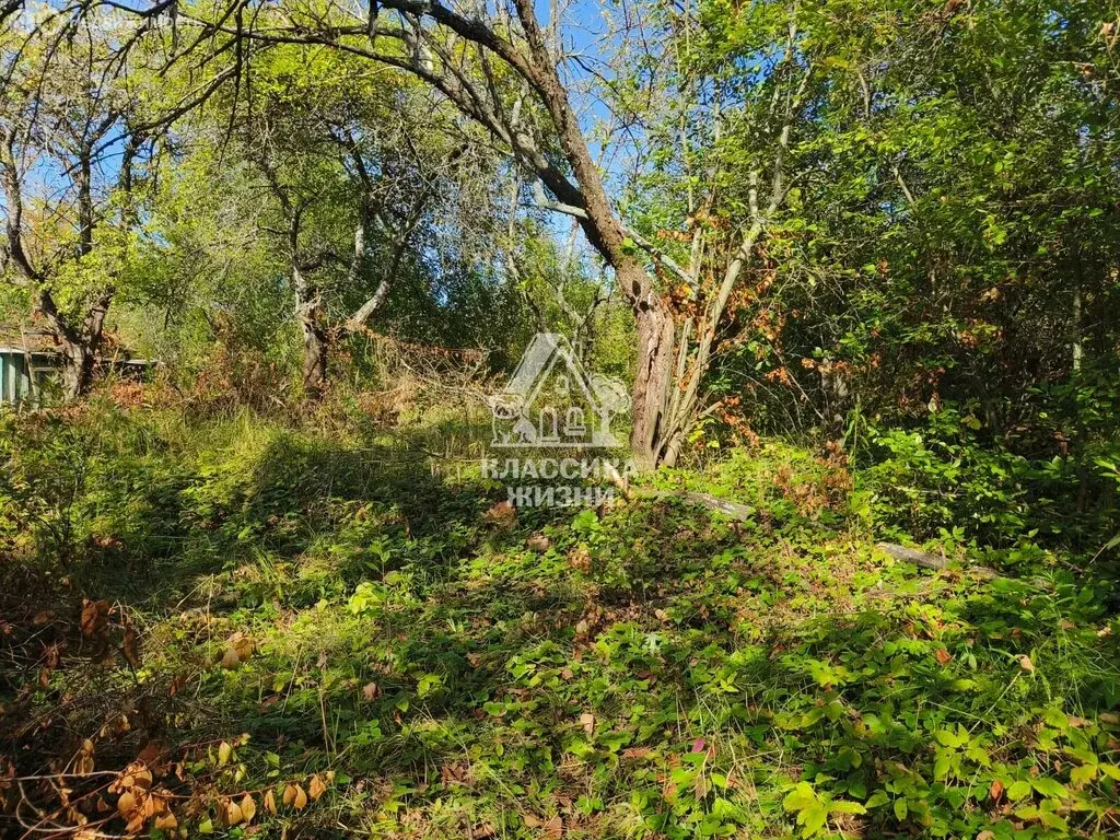 Участок в Нижний Новгород, СТ Маяк, 535 (6.8 м) - Фото 0