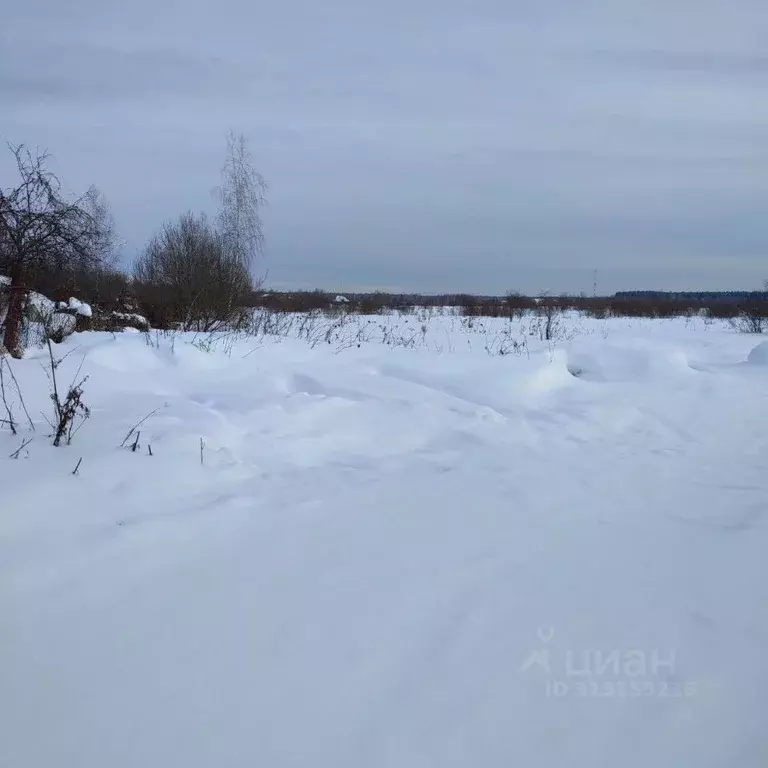 Участок в Московская область, Павлово-Посадский городской округ, д. ... - Фото 0