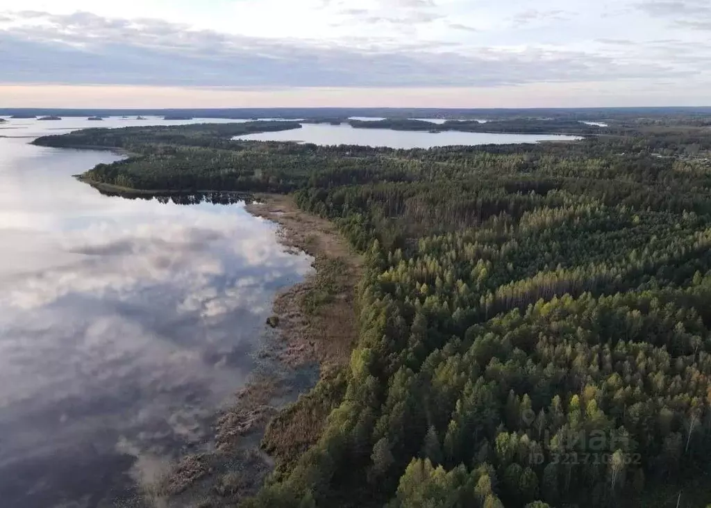 Участок в Псковская область, Куньинский район, Жижицкая волость, д. ... - Фото 1