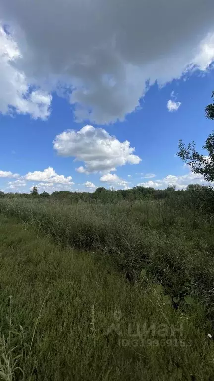 Дом в Рязанская область, Рыбновский район, Пионерское с/пос, д. ... - Фото 2