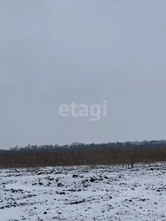 Участок в Белгородская область, Белгородский район, Головинское с/пос, ... - Фото 1