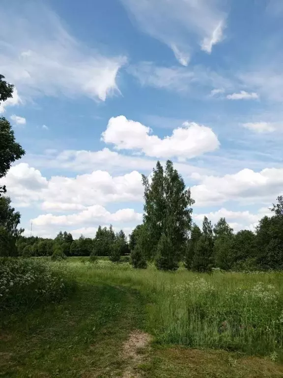 Участок в Московская область, Рузский муниципальный округ, д. Тишино ... - Фото 2