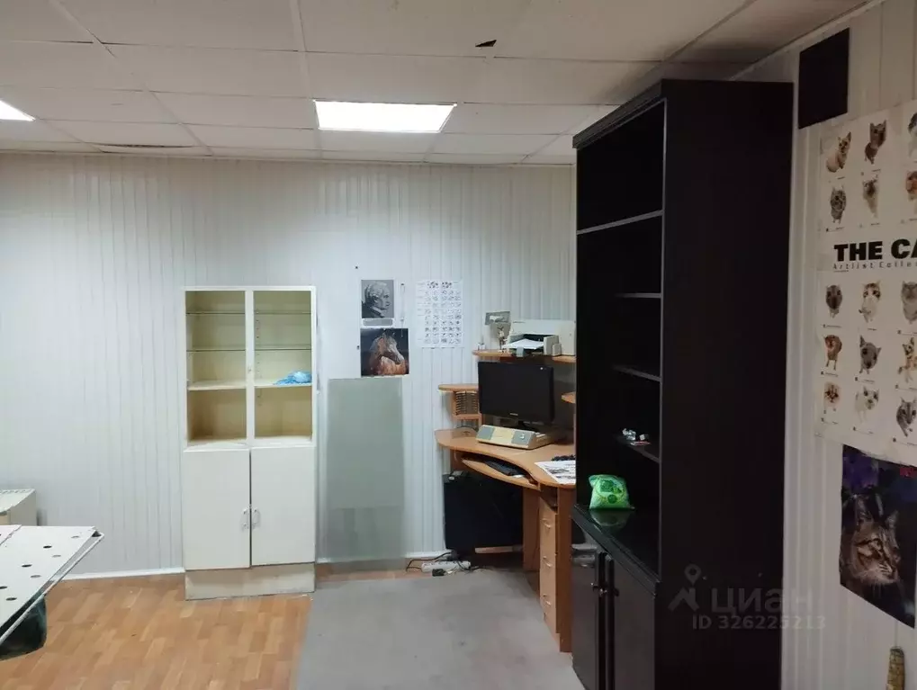 Помещение свободного назначения в Краснодарский край, Новороссийск ... - Фото 1