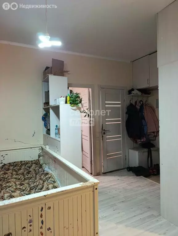 1-комнатная квартира: Екатеринбург, Педагогическая улица, 7А (27.4 м) - Фото 1