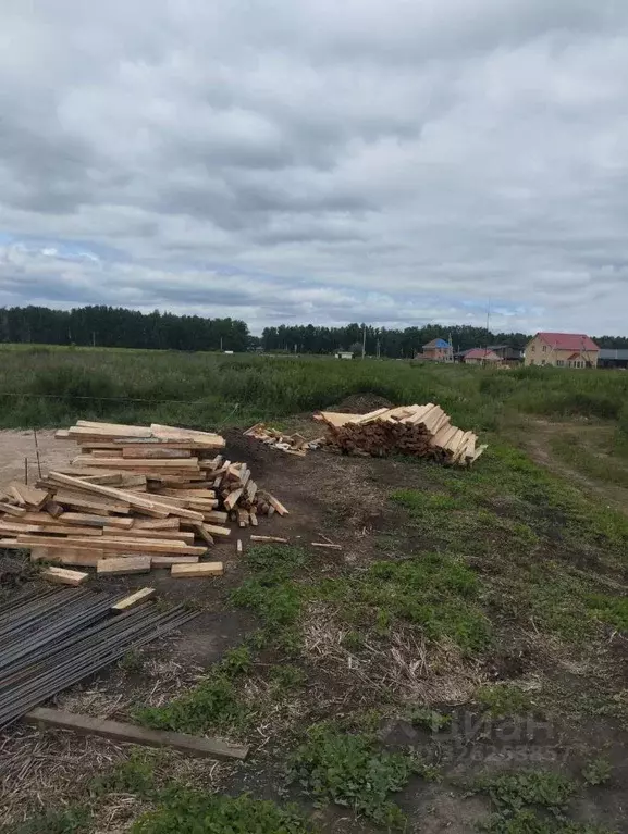 Участок в Омская область, Омский район, Пушкинское с/пос, Пушкинский ... - Фото 2