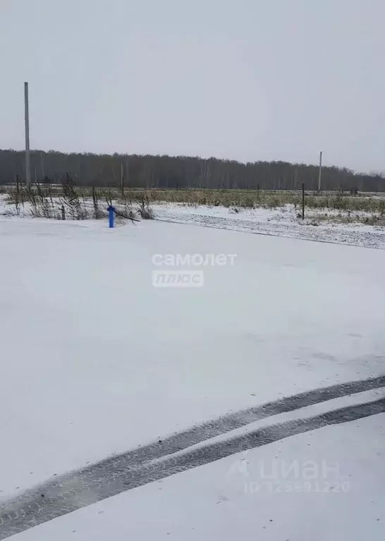 Участок в Свердловская область, Тугулымский муниципальный округ, с. ... - Фото 2