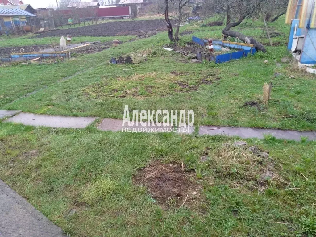 Участок 4,9 сот. (СНТ, ДНП) - Фото 1