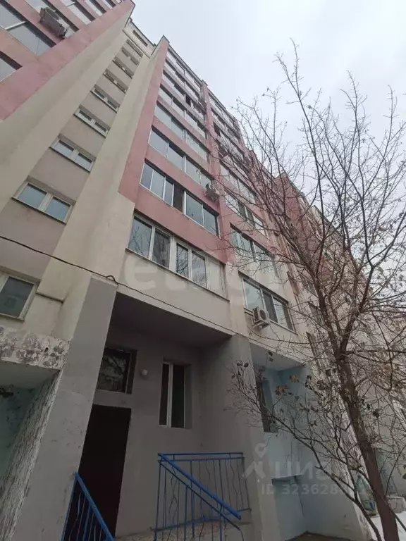 Студия Амурская область, Благовещенск Батарейная ул., 7 (30.0 м) - Фото 2