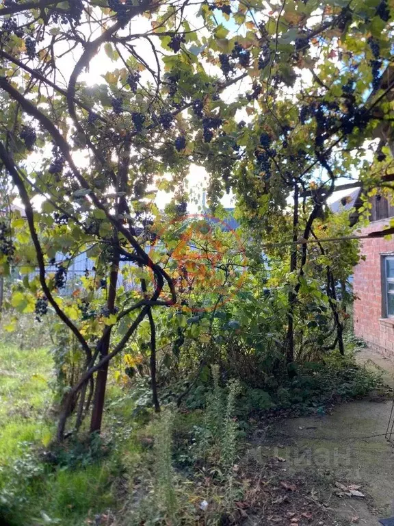 Дом в Краснодарский край, Армавир Черноморская ул., 30/4 (94 м) - Фото 2