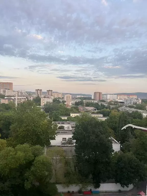 3-к кв. Краснодарский край, Новороссийск Кутузовская ул., 15 (65.0 м) - Фото 2