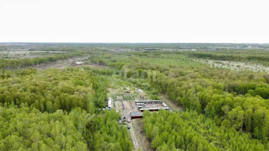 Участок в Хабаровск, садовое товарищество Виктория (15 м) - Фото 1