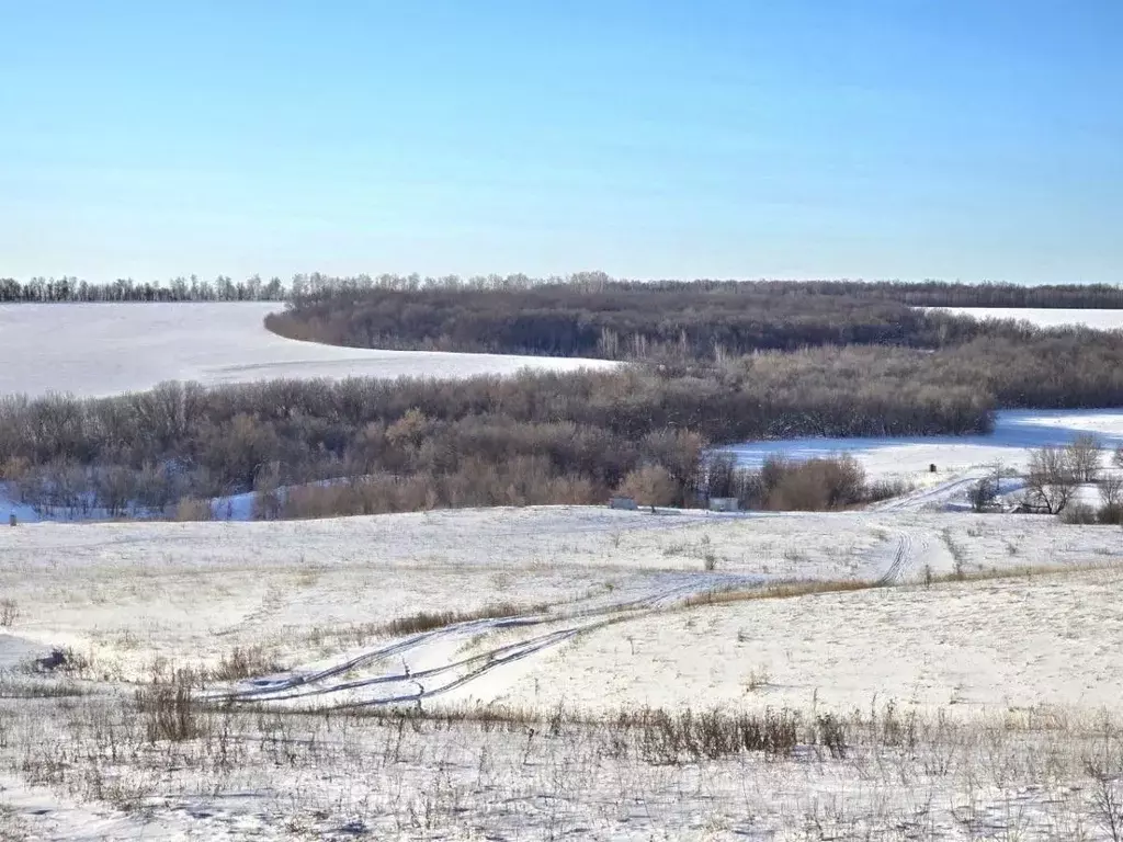 Помещение свободного назначения в Самарская область, Кинельский район, ... - Фото 1