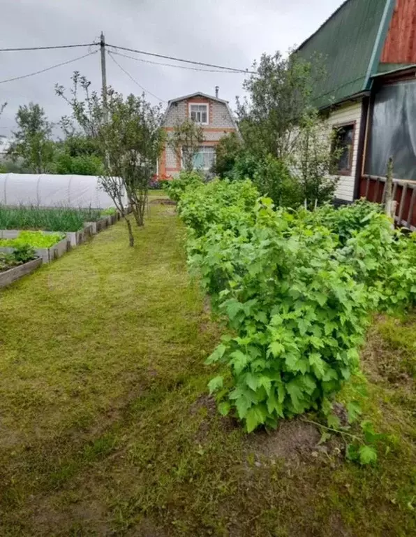 Дача 24 м на участке 5 сот. - Фото 1
