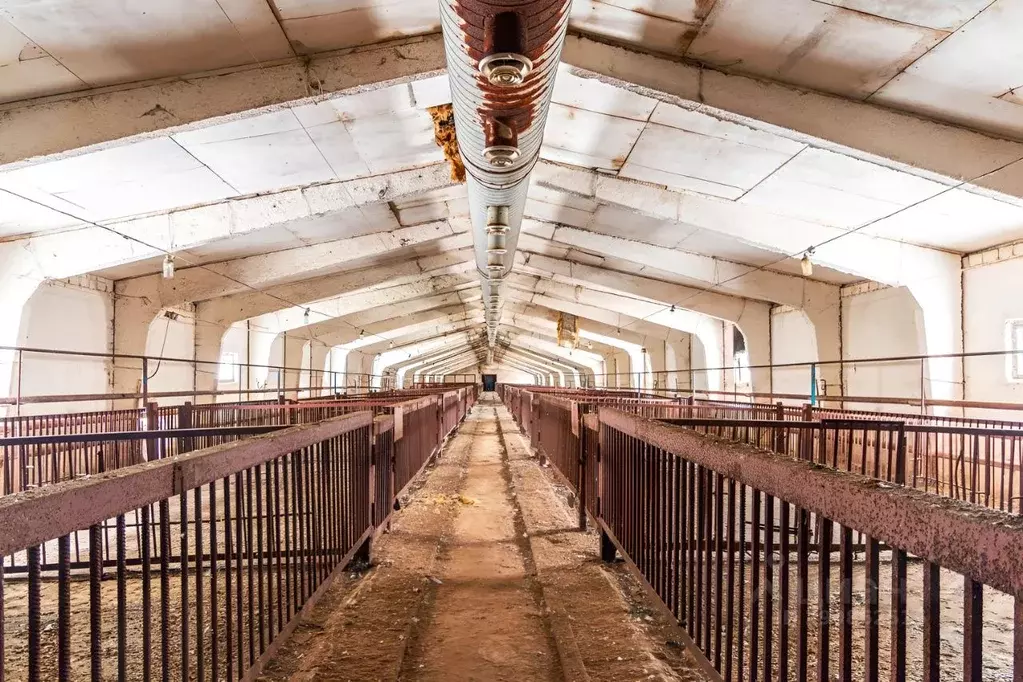 Помещение свободного назначения в Омская область, Горьковский район, ... - Фото 1