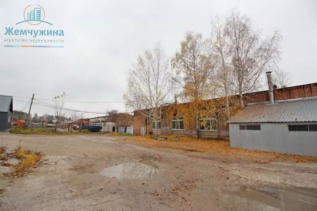 Помещение свободного назначения в Ульяновская область, Димитровград ... - Фото 2