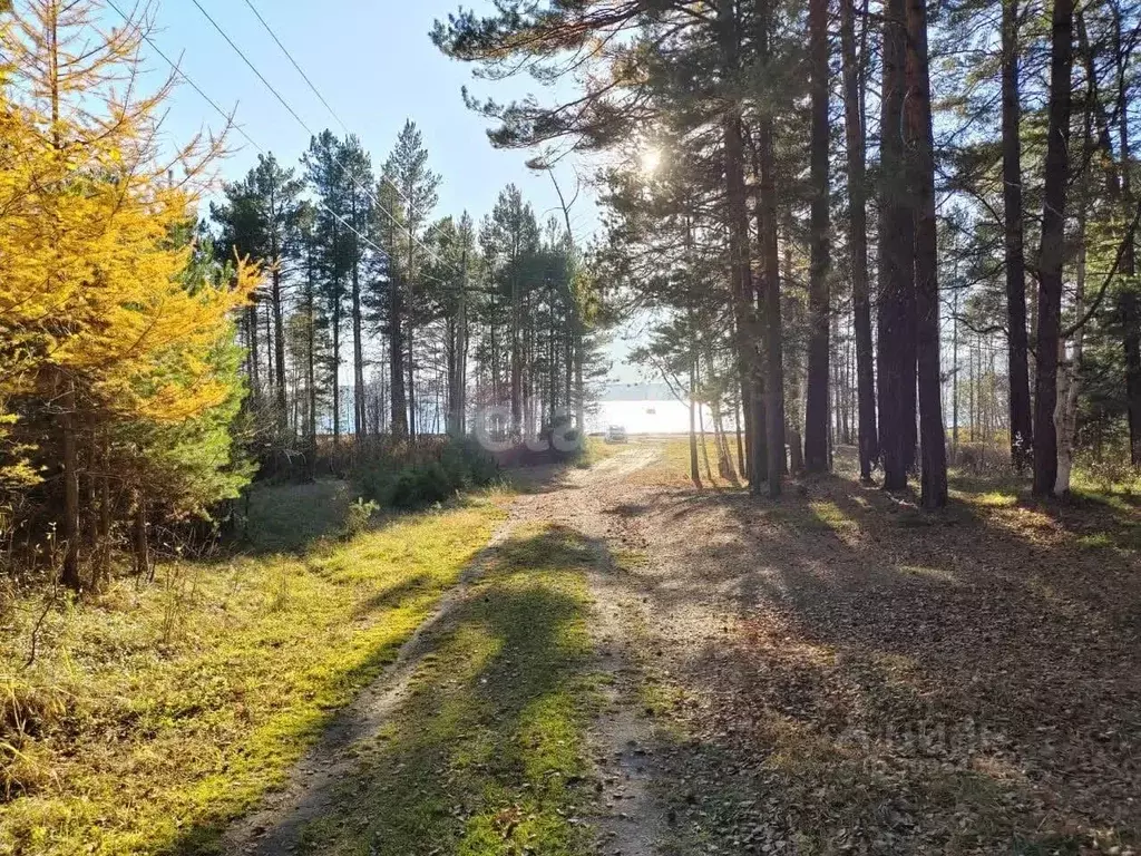 Участок в Бурятия, Кабанский район, с. Исток  (8.0 сот.) - Фото 0