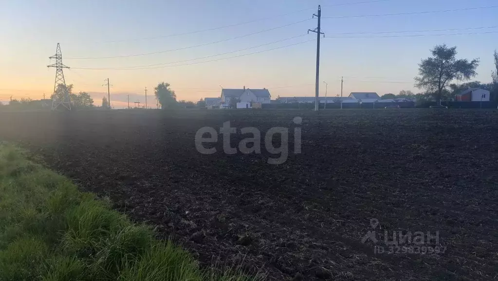Участок в Белгородская область, Белгородский район, Комсомольское ... - Фото 1