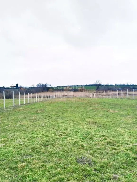 Участок в Краснодарский край, Кореновский район, Журавская ст-ца  ... - Фото 1