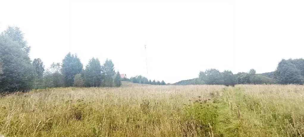 Участок в Вологодская область, д. Сусолово  (27.0 сот.) - Фото 1