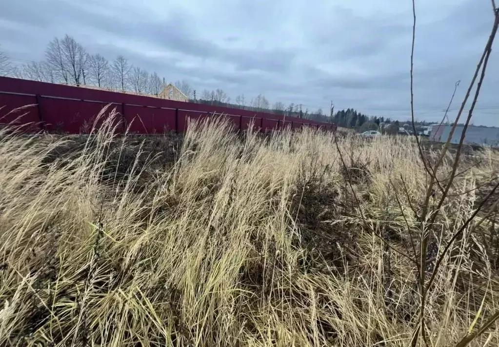 Участок в Московская область, Пушкинский городской округ, с. Ельдигино ... - Фото 2