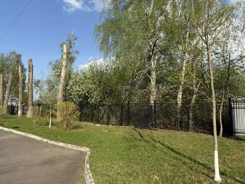 Участок в Московская область, Ленинский городской округ, Молоково пгт ... - Фото 2