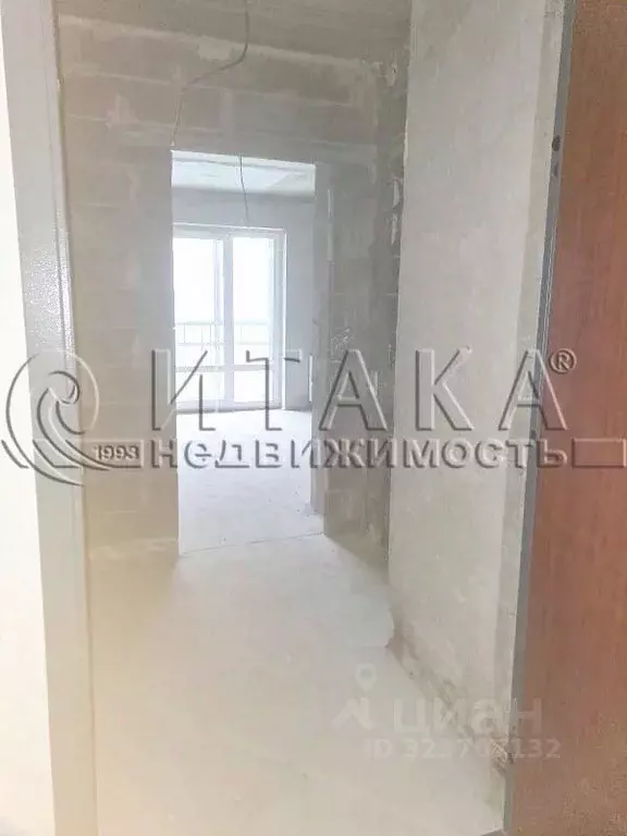 Студия Санкт-Петербург пос. Шушары, просп. Старорусский, 9 (24.8 м) - Фото 2